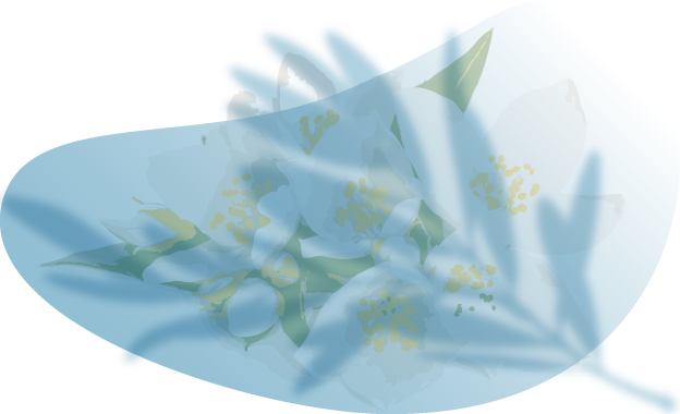 アロマオイルイメージ