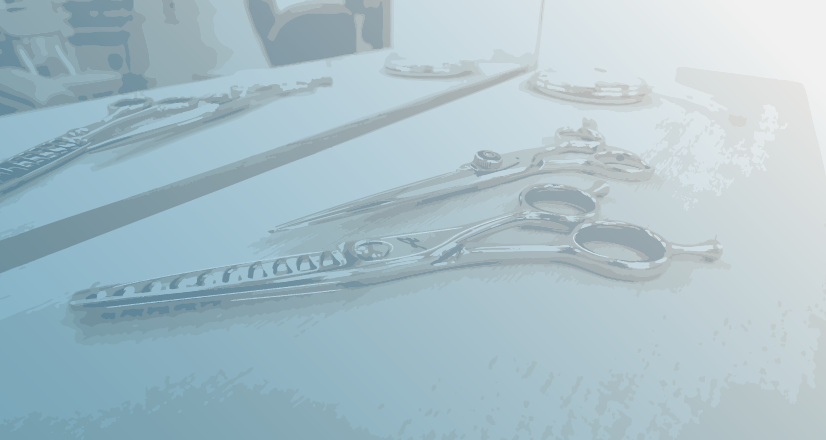 ヘアスタイリングイメージ