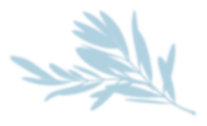 リーフイメージ